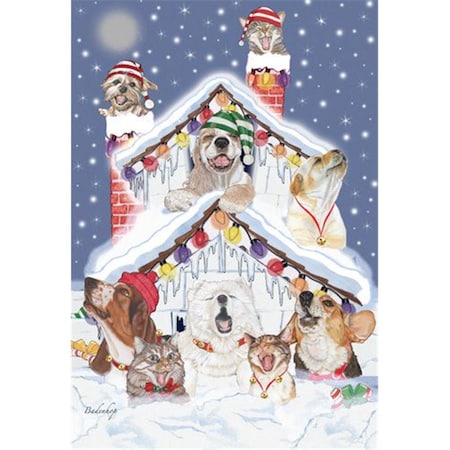 Mix Dog With Cat Holiday Boxed Cards